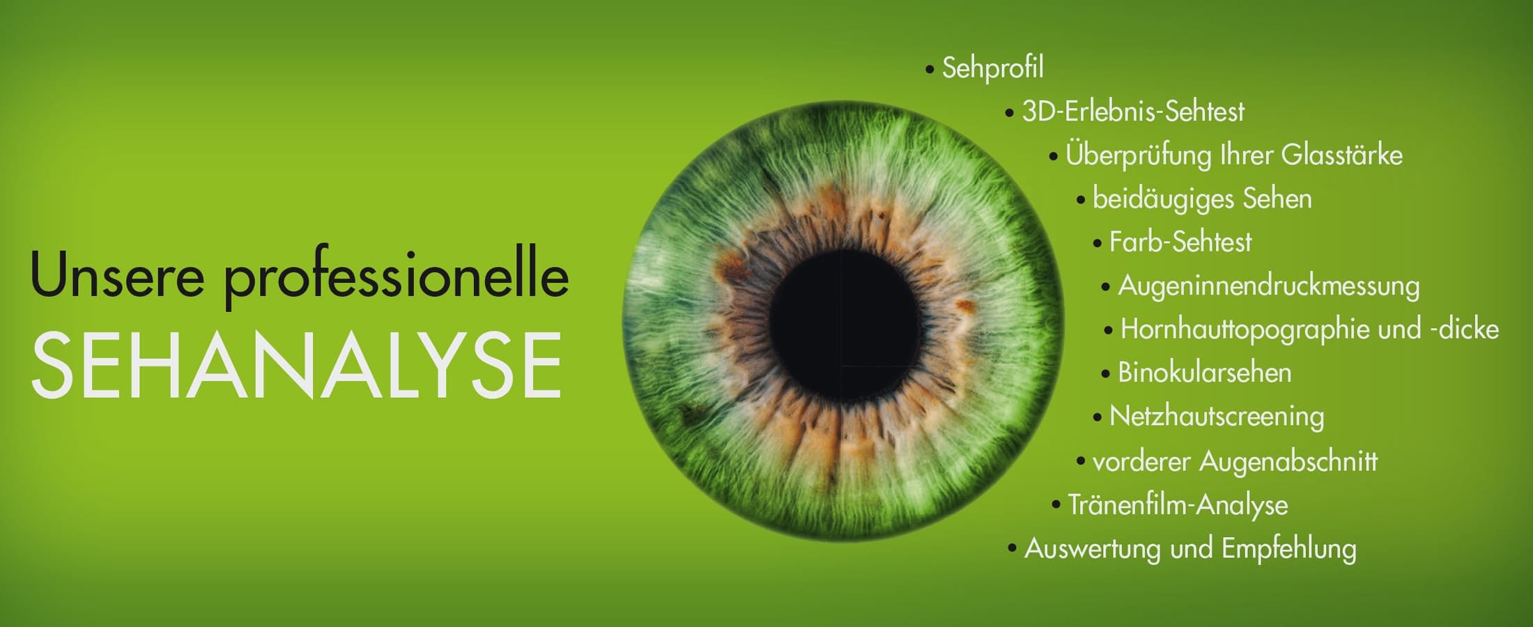 header sehanalyse 1