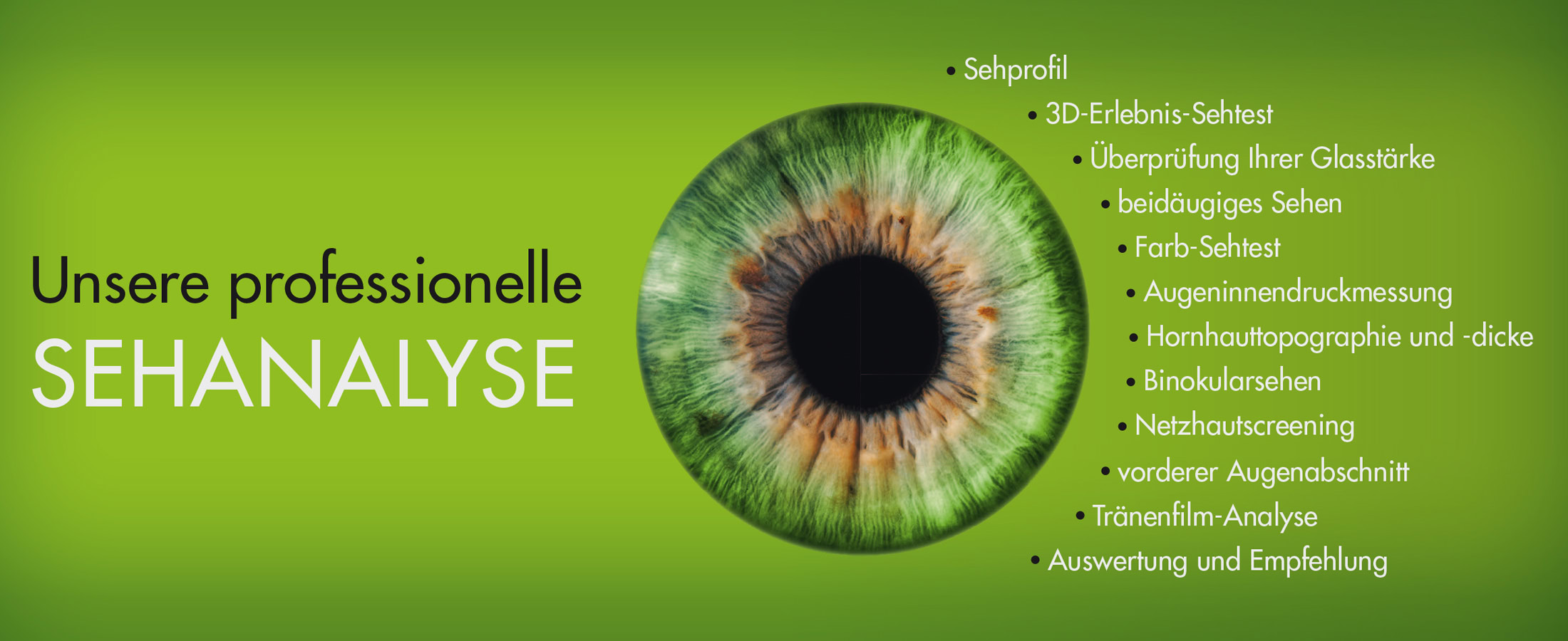 header sehanalyse 1